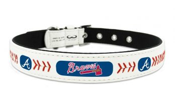 atlanta braves pet gear